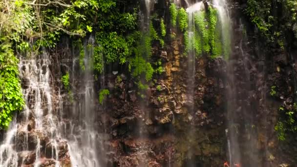 Schöner tropischer Wasserfall. Philippinen, Mindanao. — Stockvideo