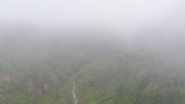 Yağmur ormanları ve bulutları olan dağlar. Filipinler, Mindanao