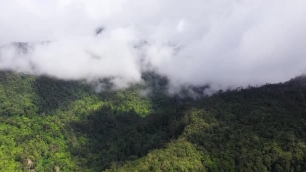 Yağmur ormanları ve bulutları olan dağlar. Filipinler, Mindanao — Stok video