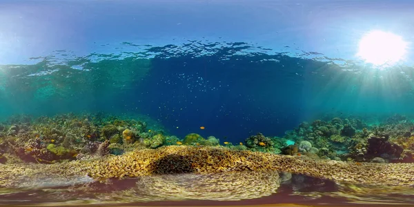 De onderwaterwereld van een koraalrif. Filippijnen. Virtual Reality 360 — Stockfoto