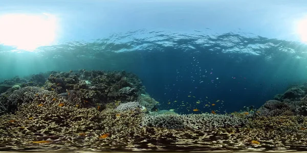 Recifes de coral e peixes tropicais. Filipinas. Realidade Virtual 360 — Fotografia de Stock