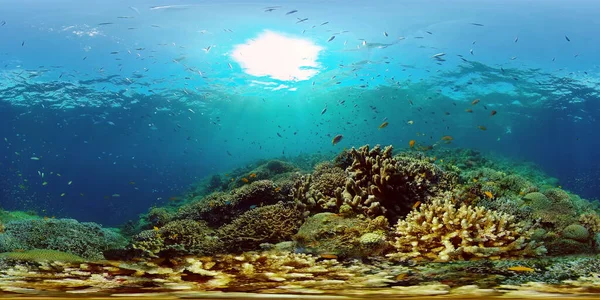 Récif corallien et poissons tropicaux sous-marins. Philippines. Réalité virtuelle 360 — Photo