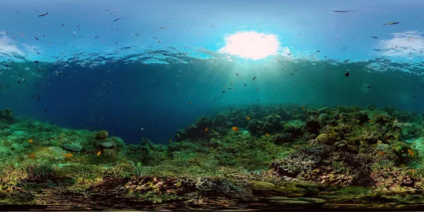 Korallzátony halakkal a víz alatt. Fülöp-szigetek. Virtuális valóság 360 — Stock Fotó