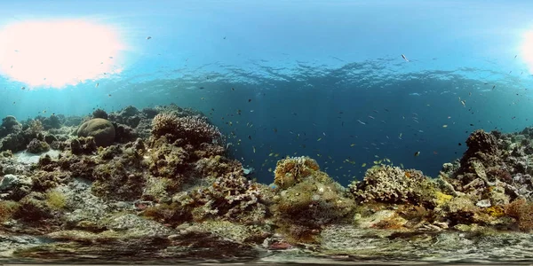 Arrecife de coral con peces bajo el agua. Filipinas. Realidad virtual 360 — Foto de Stock