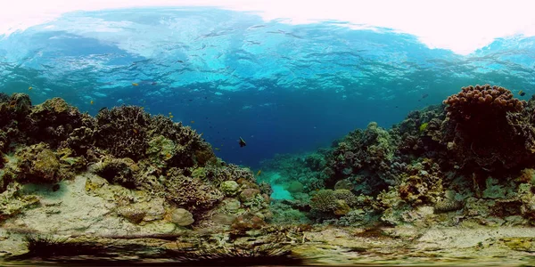 Arrecife de coral con peces bajo el agua. Filipinas. Realidad virtual 360 — Foto de Stock