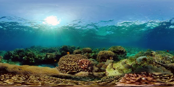 Korallenriffe und tropische Fische. Philippinen. Virtuelle Realität 360 — Stockfoto