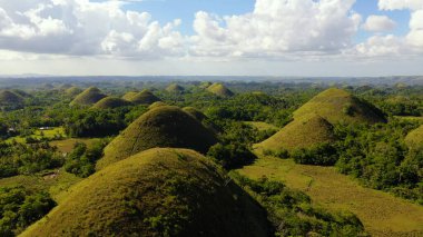 Çikolata tepeleri. Bohol Filipinleri..
