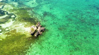 Açık mavi deniz suyundaki mercanlar.
