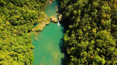 Ormandaki Loboc nehri. Bohol, Filipinler.