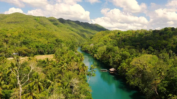 Ormandaki Loboc nehri. Bohol, Filipinler. — Stok fotoğraf