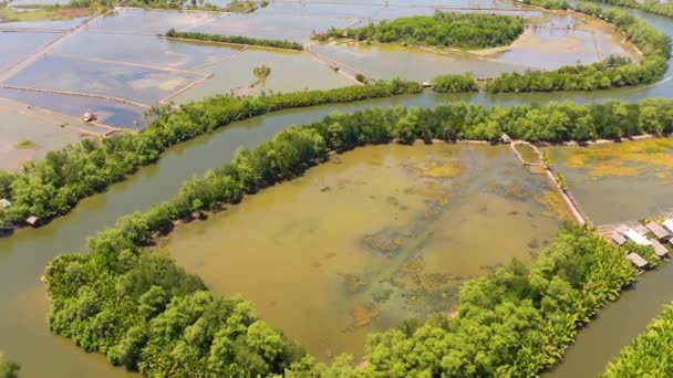 Landbouwlandschap in Azië. — Stockvideo