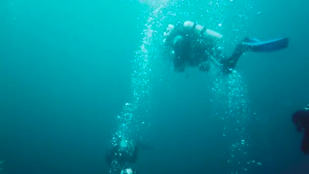 Taucher unter Wasser. Leyte, Philippinen. — Stockvideo