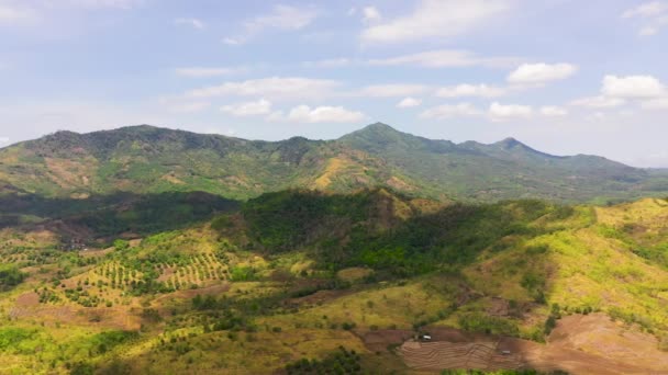 Grunty rolne na Filipinach. — Wideo stockowe