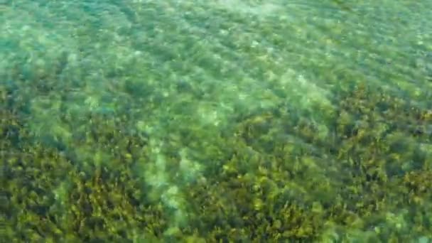 Paisagem tropical com mar azul e recife de coral — Vídeo de Stock