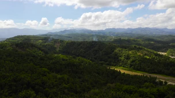 Гори з лісом на Філіппінах. — стокове відео