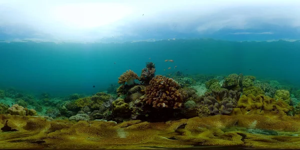 Recifes de corais e peixes tropicais subaquáticos. Filipinas. Realidade Virtual 360 — Fotografia de Stock