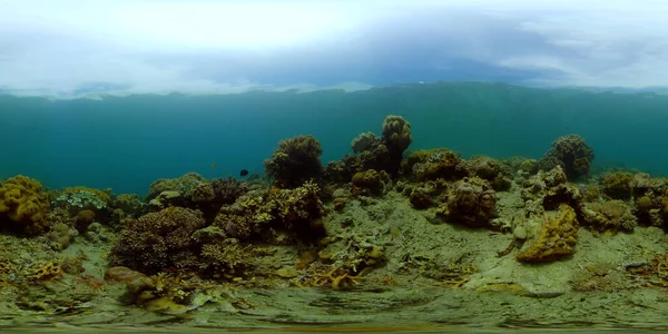 Arrecife de coral y peces tropicales bajo el agua. Filipinas. Vista de 360 grados. — Foto de Stock