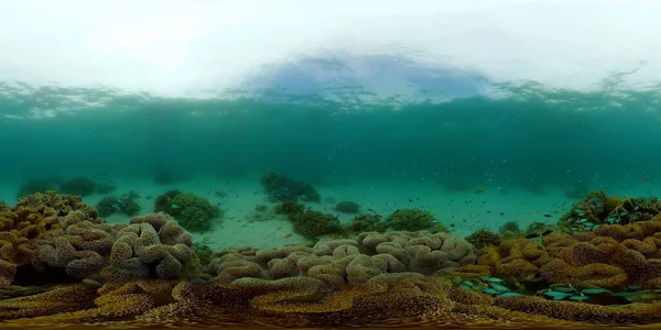 Recifes de corais e peixes tropicais subaquáticos. Filipinas. Vista de 360 graus. — Fotografia de Stock