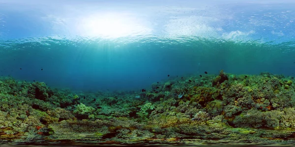 Koraalrif en tropische vissen onder water. Filippijnen. 360 graden uitzicht. — Stockfoto