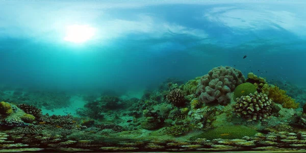 Korallenriff mit Fischen unter Wasser. Philippinen. Virtuelle Realität 360 — Stockfoto