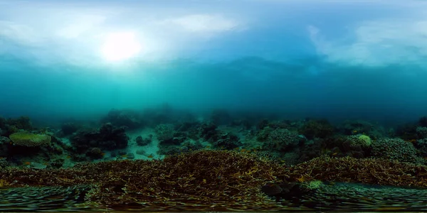 Arrecife de coral con peces bajo el agua. Filipinas. Realidad virtual 360 — Foto de Stock