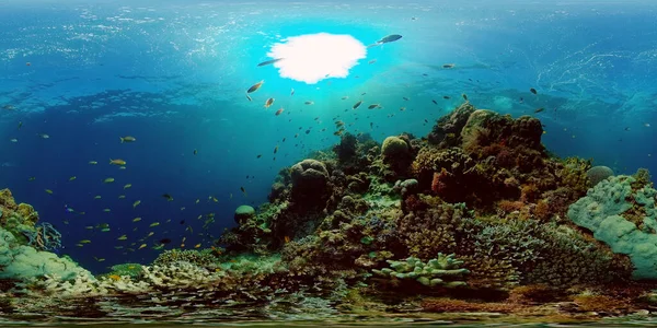 Korallzátony és trópusi halak. Fülöp-szigetek. 360 fokos nézet. — Stock Fotó