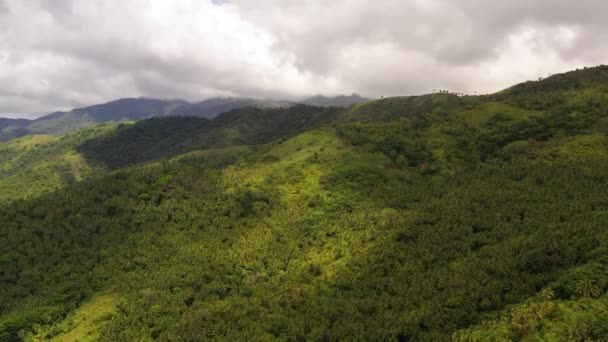 Berg täckt med regnskog och moln. — Stockvideo