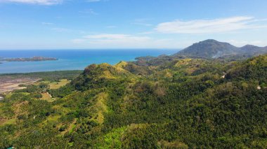 Yağmur ormanlı dağlar. Filipinler, Mindanao