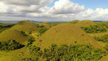 Çikolata tepeleri. Bohol Filipinleri..