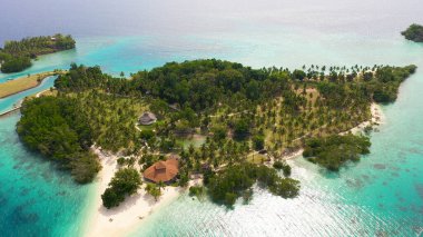 Plajı olan tropik bir ada. Malpano Adası, Filipinler, Samal.