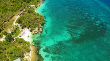 Kumsalı ve mavi denizi olan bir sahil. Anda Bohol, Filipinler.