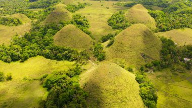 Çikolata tepeleri. Bohol Filipinleri..