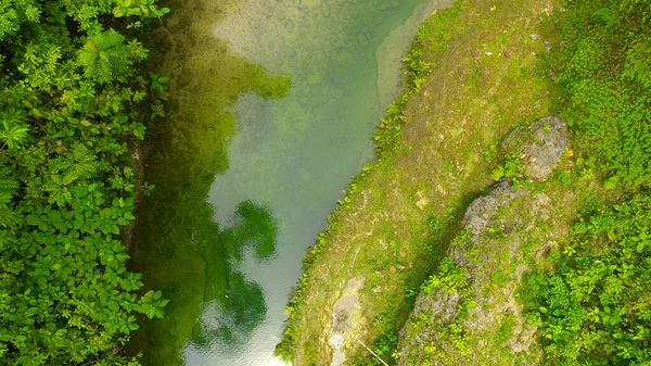 Rivier in de jungle. Bohol, Filipijnen. — Stockfoto