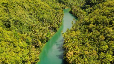 Loboc river in the jungle. Bohol, Philippines. clipart