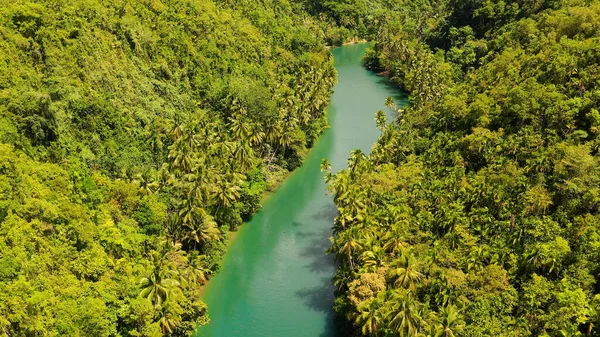 Ormandaki Loboc nehri. Bohol, Filipinler.