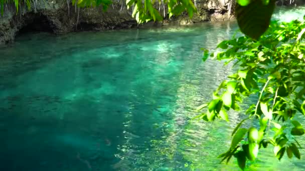 Okouzlující řeka v Hinatuan, Surigao Del Sur, Filipíny. — Stock video
