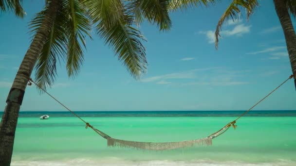 Піщаний пляж і тропічне море. острів Панглао (Філіппіни).. — стокове відео