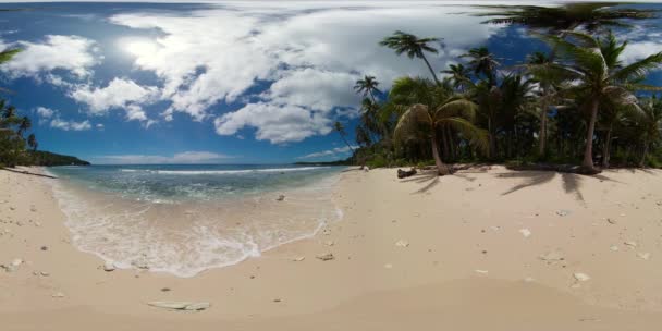 Písečná pláž a palmy. 360 panorama VR. — Stock video
