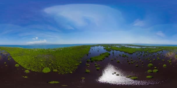 Yeşil mangrovlar. Büyük Santa Cruz Adası. Filipinler, Zamboanga. 360 panorama VR. — Stok video