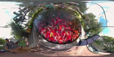 Davao Timsah Parkı, Filipinler. Sanal tur 360