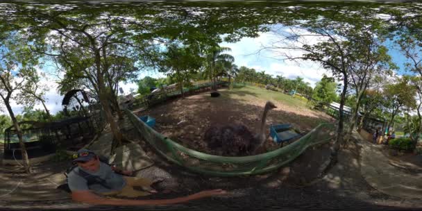 Davao Crocodile Park, Filipíny. Virtuální prohlídka 360 — Stock video