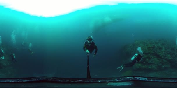 Egy korallzátony víz alatti világa 360VR. — Stock videók