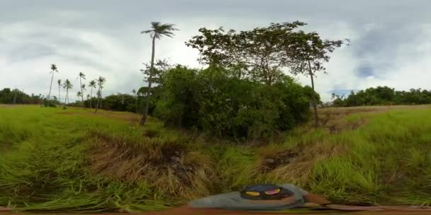 Foresta pluviale tropicale 360 VR. — Video Stock