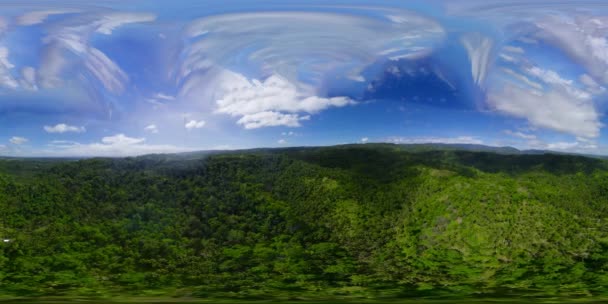 Floresta tropical nas Filipinas. Vista de 360 graus. — Vídeo de Stock