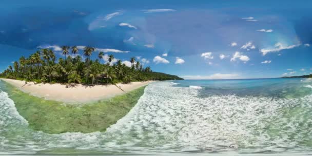 Písečná pláž a palmy. 360 panorama VR. — Stock video