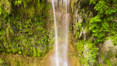 Güzel tropik şelale. Can-umantad Şelalesi, Bohol, Filipinler.