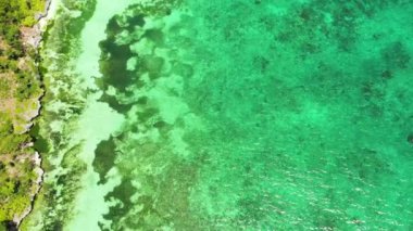 Güzel sahil ve turkuaz deniz. Anda Bohol, Filipinler.