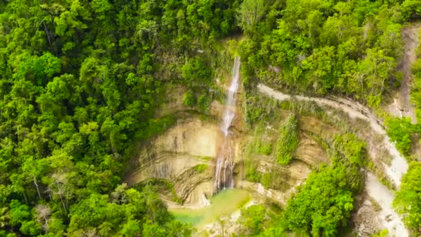 Wodospad i tarasy ryżowe. Bohol, Filipiny. — Wideo stockowe