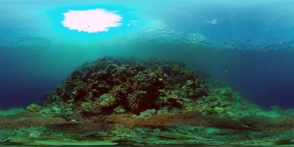 The underwater world of a coral reef. Philippines. Virtual Reality 360 — Stock Photo, Image