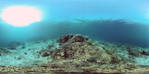 Récif corallien avec poissons sous-marins. Philippines. Réalité virtuelle 360 — Photo